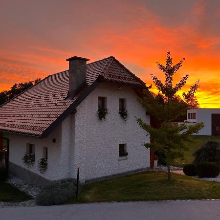 Holiday Home Dobrotin Vojnik Екстер'єр фото