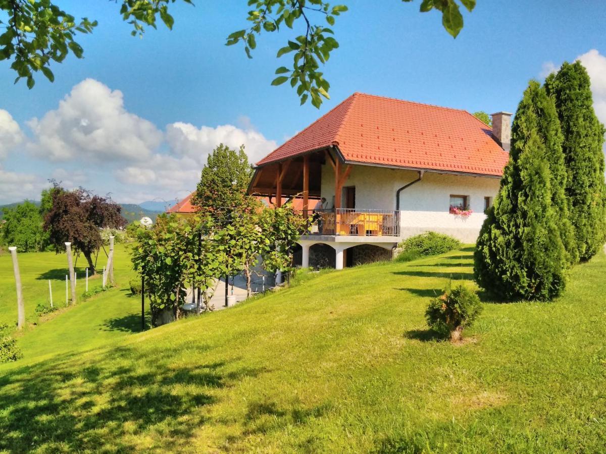 Holiday Home Dobrotin Vojnik Екстер'єр фото