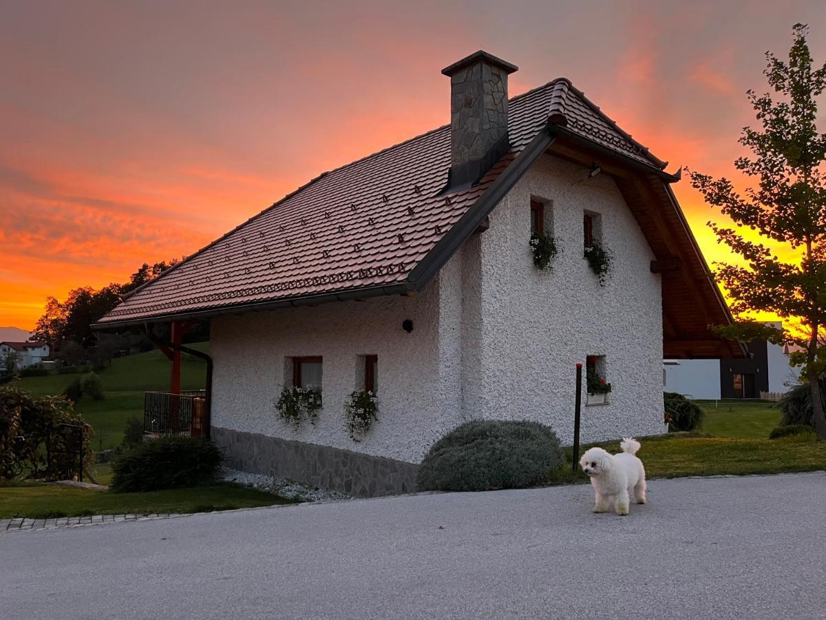Holiday Home Dobrotin Vojnik Екстер'єр фото