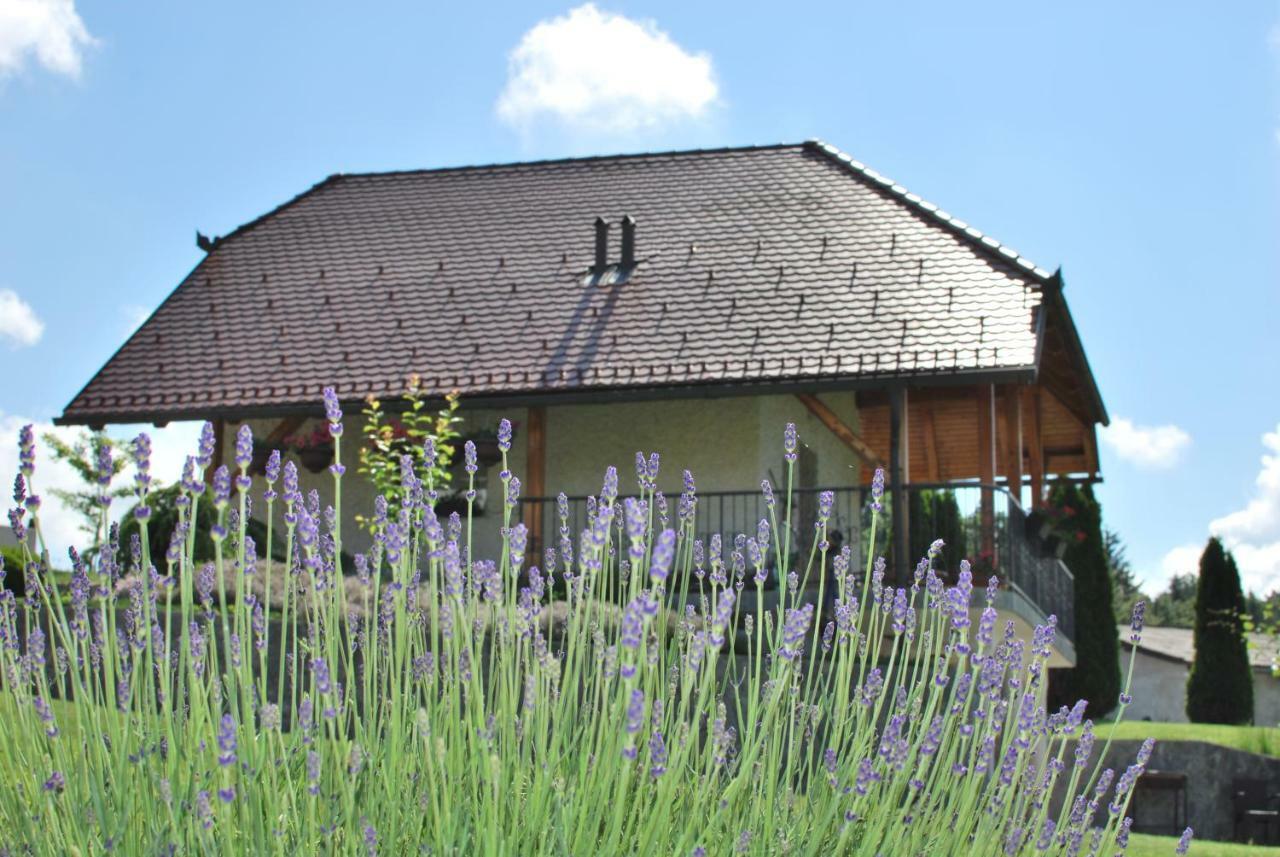 Holiday Home Dobrotin Vojnik Екстер'єр фото