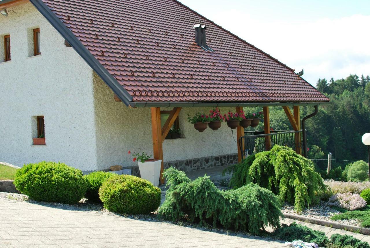 Holiday Home Dobrotin Vojnik Екстер'єр фото
