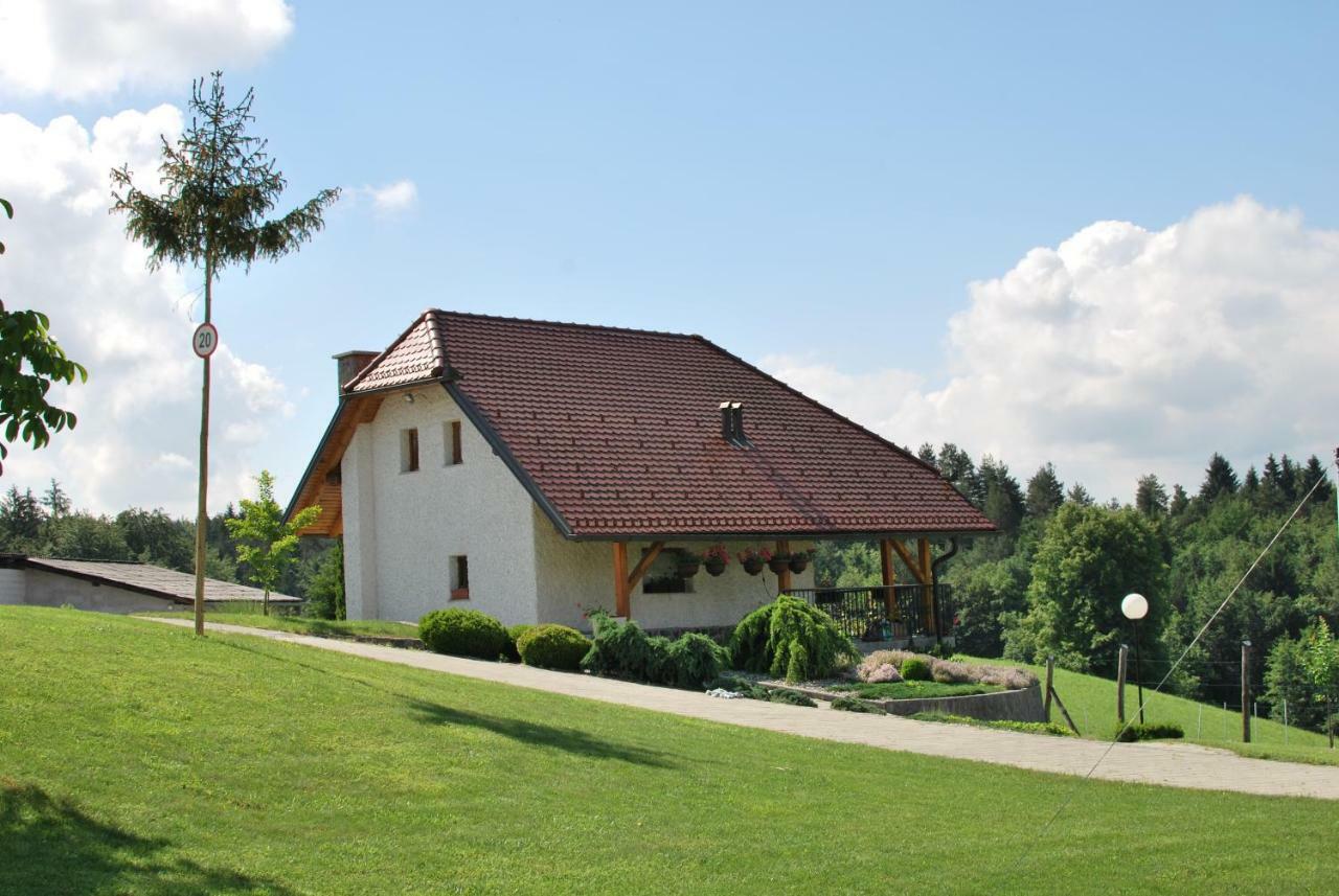Holiday Home Dobrotin Vojnik Екстер'єр фото