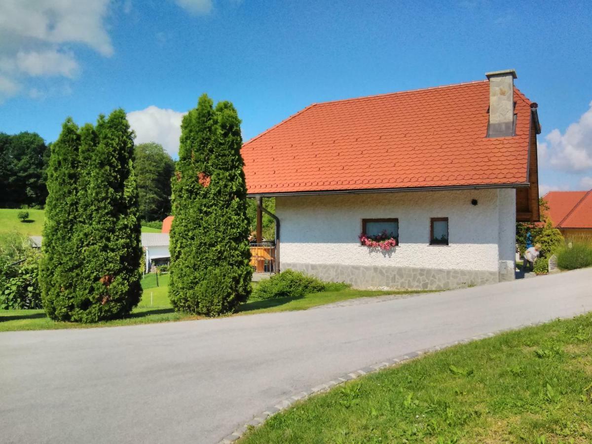 Holiday Home Dobrotin Vojnik Екстер'єр фото