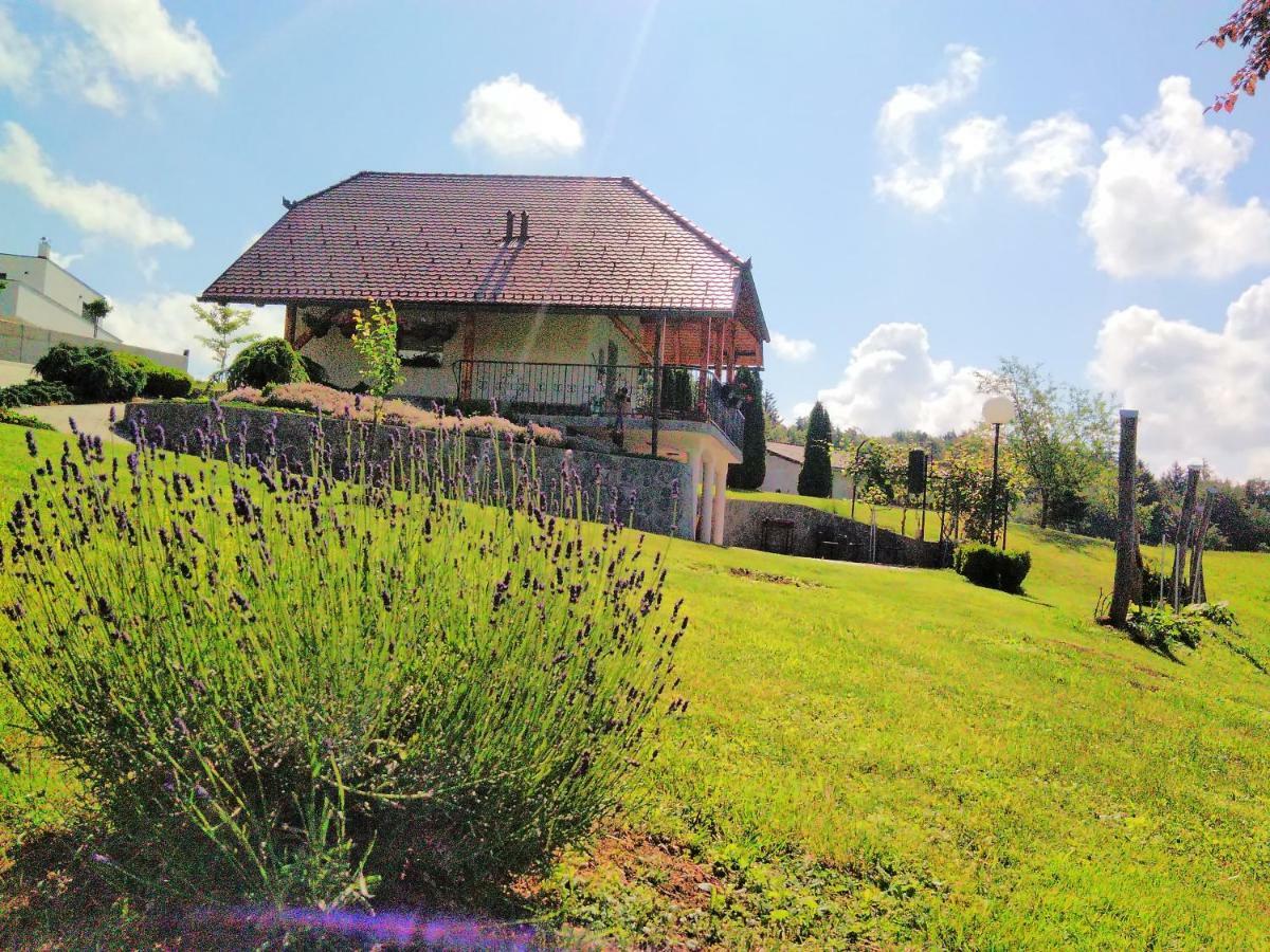 Holiday Home Dobrotin Vojnik Екстер'єр фото