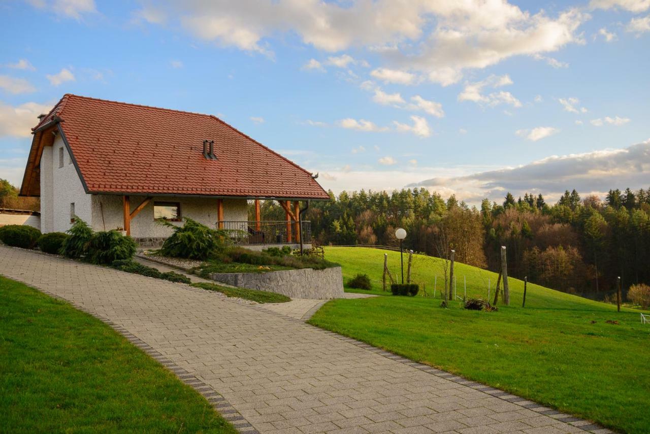 Holiday Home Dobrotin Vojnik Екстер'єр фото